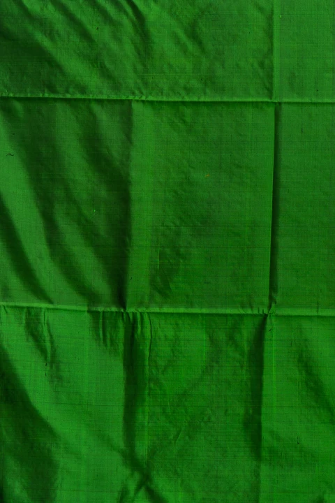 Gold Orange Pure Soft Silk With Traditional Butta And Contrast Green 