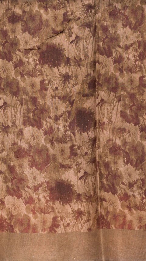 Pure Organza silk With Multi Colour Digital  Print 