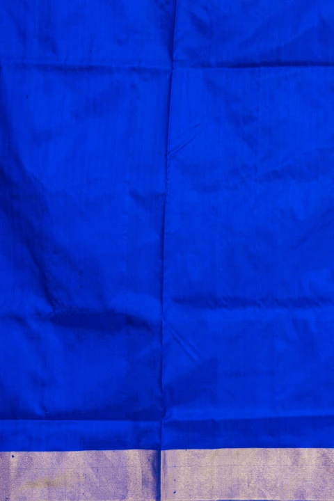 Parrot Green Pochampally Print With Contrast Blue Pallu Border And Blouse