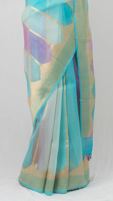Pastel Multicolour Organsa Silk Saree 