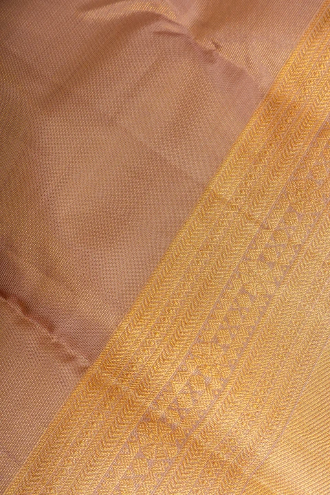 Pastle Brown Pure Kanchivaram Tissue Saree