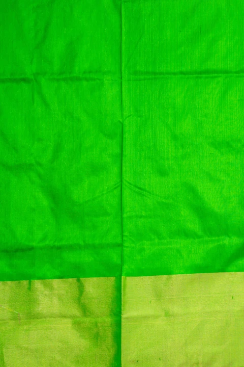 Red Multi Colour Pochampally Print With Contrast Green Pallu Border And Blouse